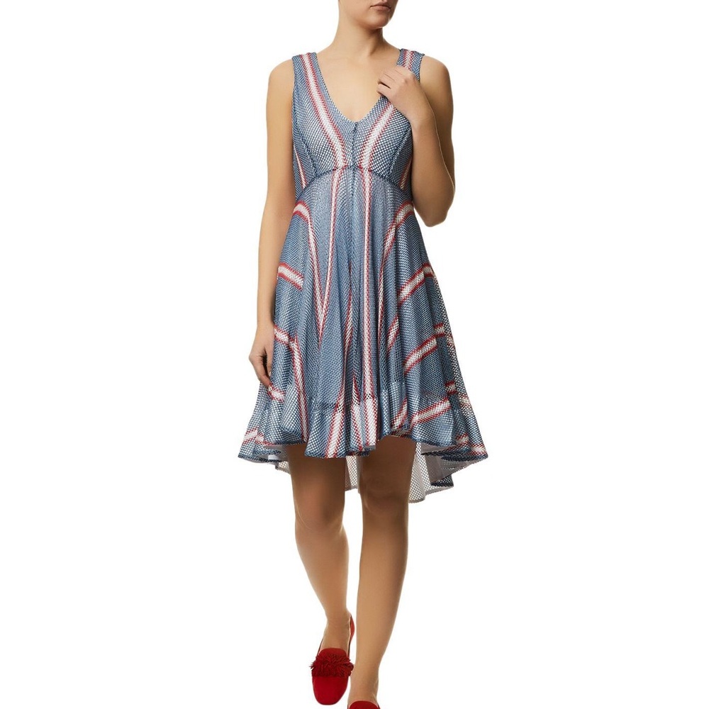 Sandro Chear Mesh Dress